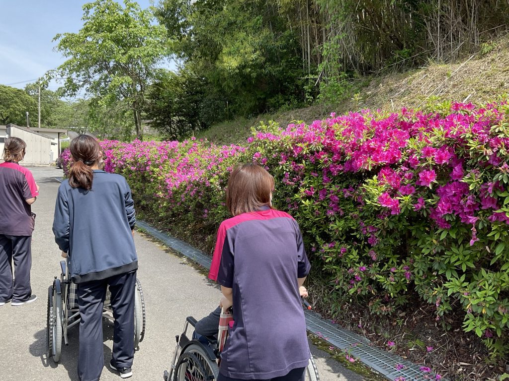 お散歩をしました🌺
